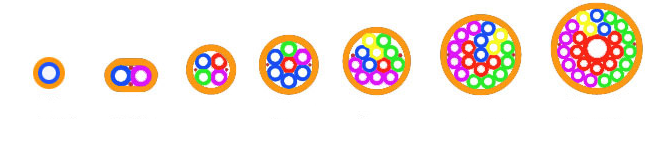 \